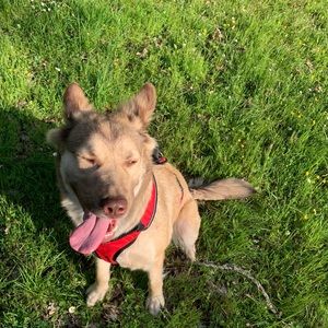 Meet your Posher, Maralyssa